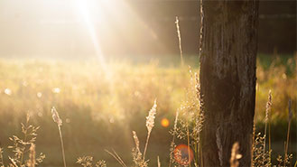 CC在线压力测试