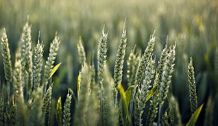 ddos攻击防御手段